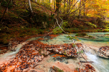 colorful autumn landscape at urederra source, Spain