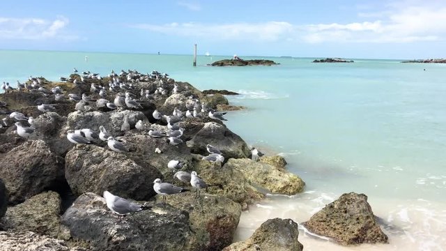 Fort Zachary beach on a sunny day. Key West is a major Florida attraction.