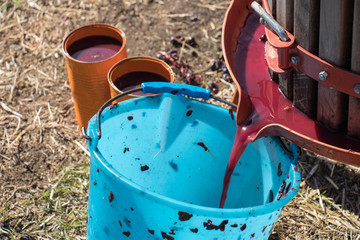 wine making in Sicily