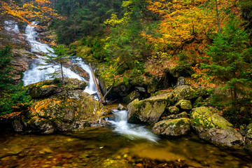 Fototapeta na wymiar Rissloch wasserfälle getaucht in den herbstlichen goldenen Farben im Bayerischen Wald mit Felsen und Moos