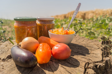 Stew from aubergines, tomatoes, onions, carrots and peppers with two glass jars on the wooden stump in the garden