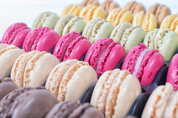 Colorful macaroons in a gift plastic tray