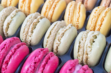 Colorful macaroons in a gift plastic tray