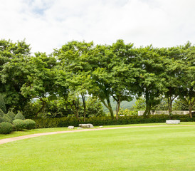 green field with trees and white clouds background 