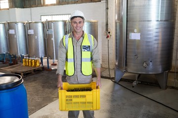 Portrait of happy worker holding harvested olives in crate