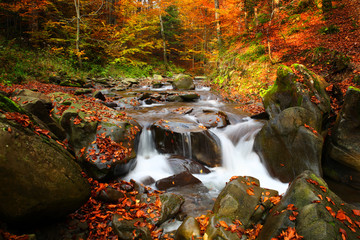 Magnificent view of the waterfall in the Autumn Beech Forest in Europe