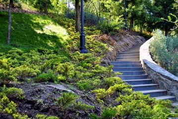 green garden with stone steps