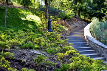 Fototapeta premium green garden with stone steps
