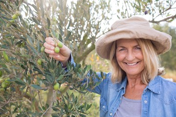 Happy woman harvesting olives from tree - Powered by Adobe