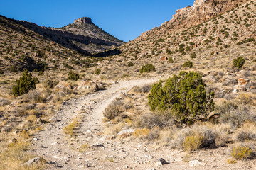 Small steep butte above rough winding dirt road