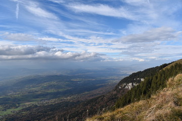 Fototapeta premium semnoz