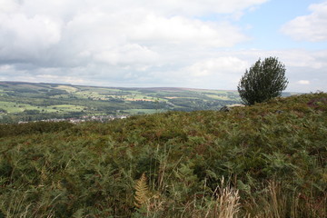 Ilkley from the Moor
