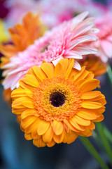 Flower bouquet close up