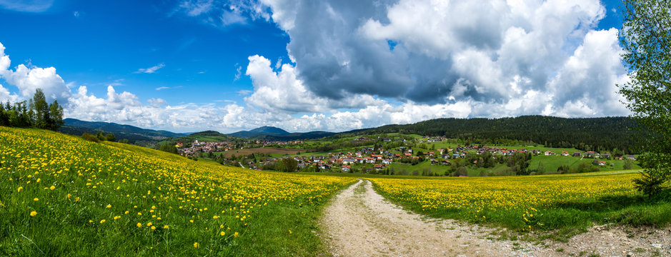 Lam/Bayrischer Wald