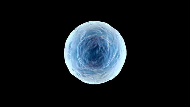 3D rendered Animation of a morphing, single biological Cell.
