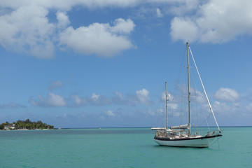 Fototapeta premium ile maurice