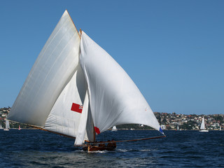 Obraz premium OLYMPUS DIGITAL CAMERA