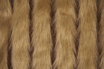 animal fur