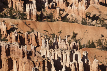 Brice Canyon_Utah_USA