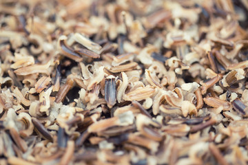 A pot with steamed black rice close-up