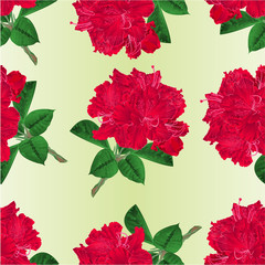 Seamless texture flowers red rhododendrons twig with leaves and flowers vintage vector illustration editable hand draw