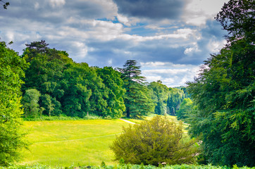 A forest glade in summer under cloudy sky in West Sussex, England © Jelana M