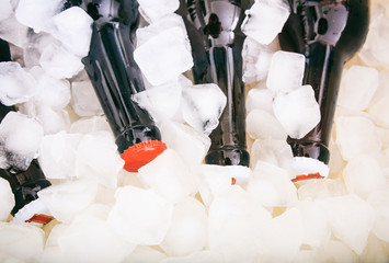 Beer bottles on ice cubes