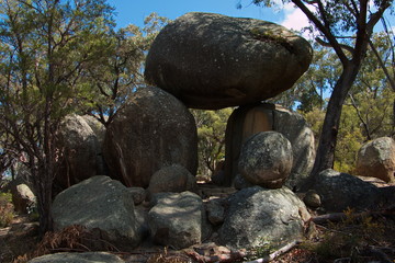 Girraween NP in New South Wales in Australien
