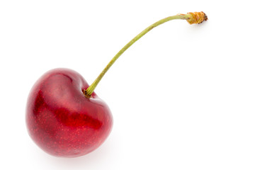 Cherry.