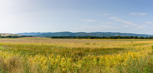 Panoramic view of the beveled fields. In the background there are hills.