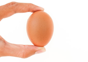 fingers hold egg isolated