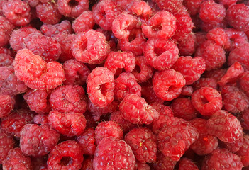 Raspberry fruit background.