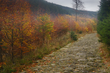mountain walk in autumn in Giant Mountains in POland