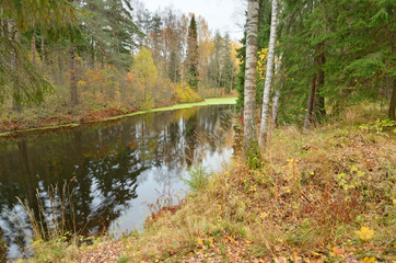 The natural landscape in autumn.