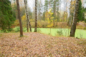 The natural landscape in autumn.