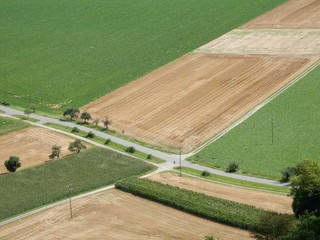 Burg Guttenberg bei Ha&szlig;mersheim