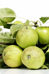 green apples 