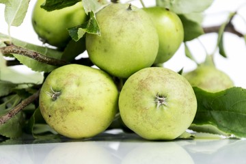 green apples 
