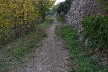 Fototapeta na wymiar the autumn colors in the Adige district
