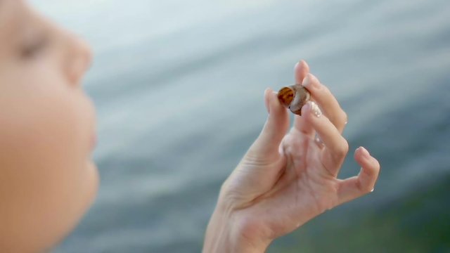 Sea cockleshell in a woman's hand. Beach.