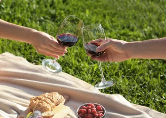 Schilderijen op glas Couple in love drinking red wine on picnic © Africa Studio