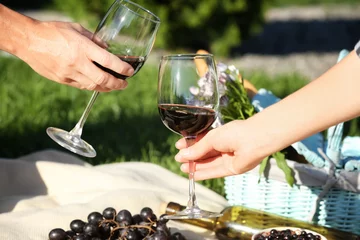 Crédence de cuisine en verre imprimé Pique-nique Couple in love drinking red wine on picnic