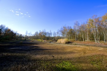 National nature reserve SOOS - large moorland and fen with many mineral water springs and moffettes...