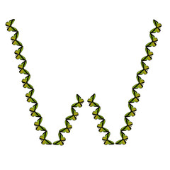 Alphabet from butterflies, letter "W", vector clip art
