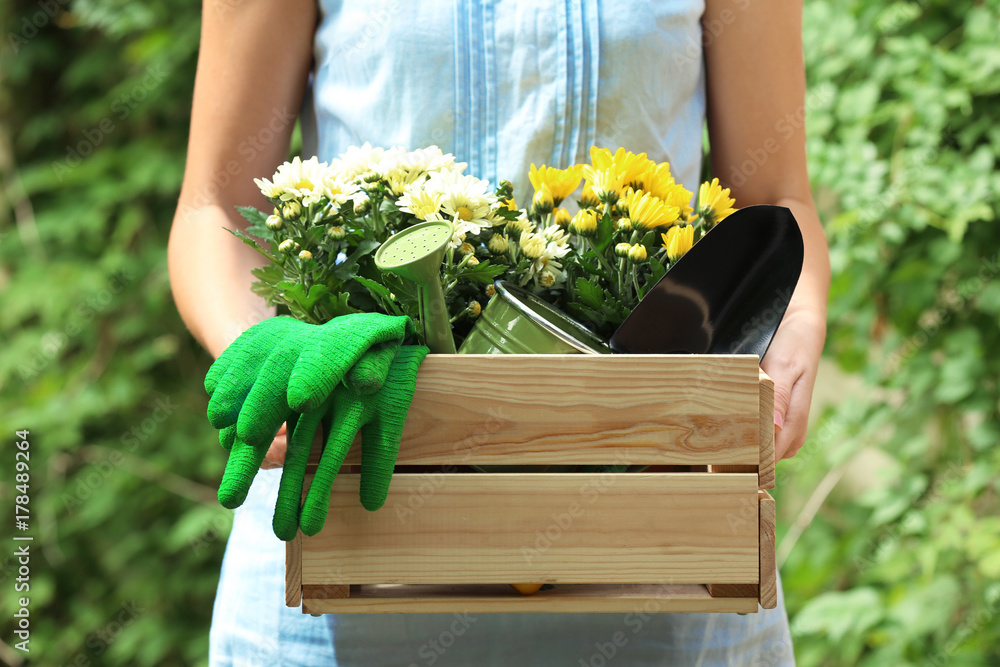 Wall mural Woman holding wooden box with gardening tools and plants outdoors