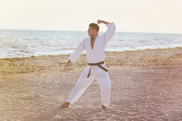 Fototapeta na wymiar Young man practicing karate outdoors