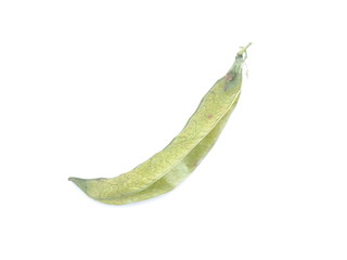 dry peas on a white background