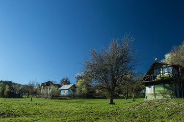 Blue spring sky