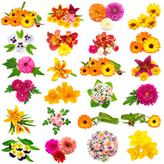 Flowers collection of roses, dahlia, lilies, chamomiles, hibiscus, chrysanthemum, yarrow, pansy, calendula and others isolated on white background. St. Valentine's Day. Easter. Flat lay, top view