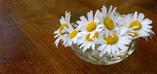 Obraz premium Daisy bowl table